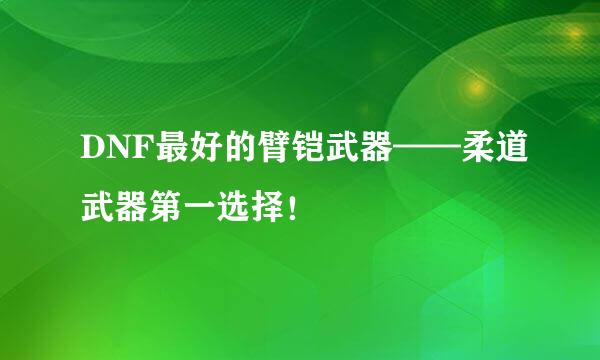 DNF最好的臂铠武器——柔道武器第一选择！