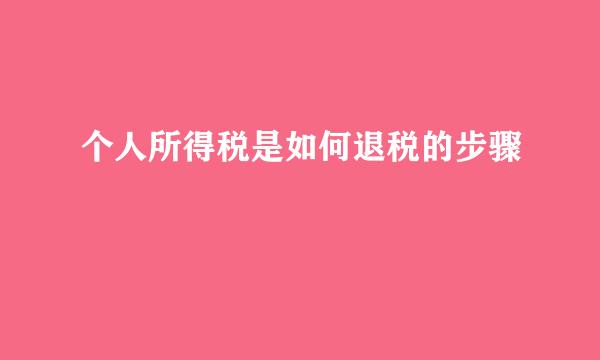 个人所得税是如何退税的步骤