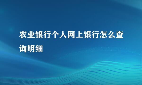 农业银行个人网上银行怎么查询明细