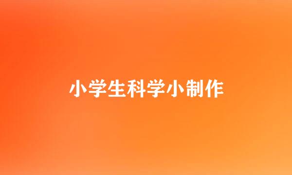 小学生科学小制作