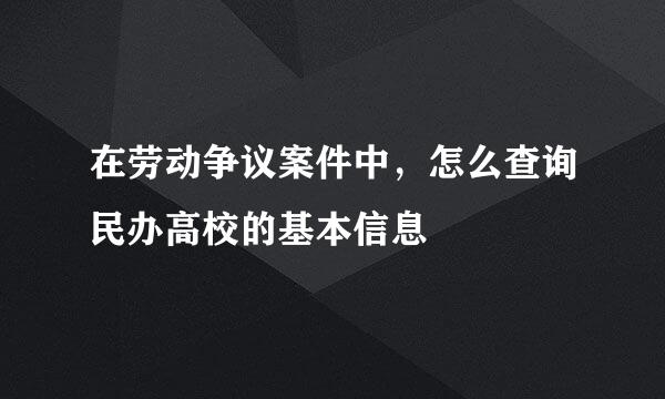 在劳动争议案件中，怎么查询民办高校的基本信息