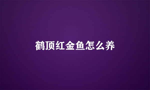 鹤顶红金鱼怎么养