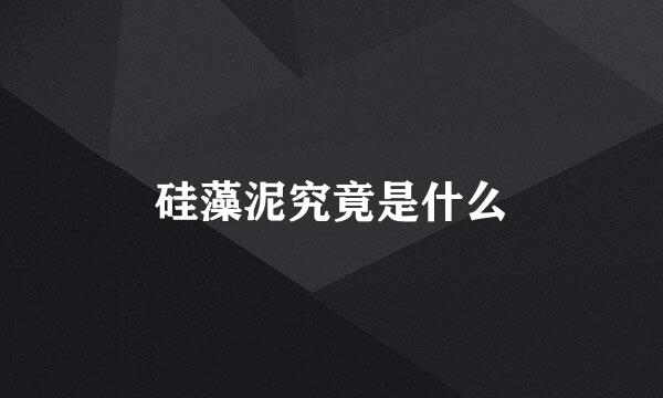 硅藻泥究竟是什么