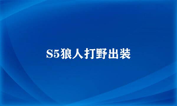 S5狼人打野出装