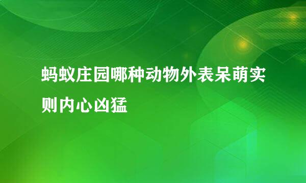 蚂蚁庄园哪种动物外表呆萌实则内心凶猛