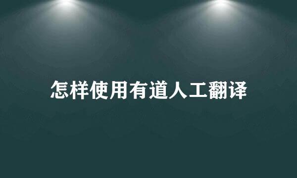 怎样使用有道人工翻译