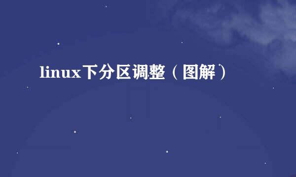 linux下分区调整（图解）