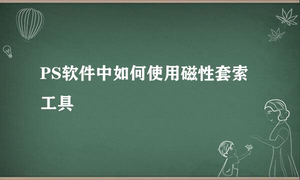 PS软件中如何使用磁性套索工具