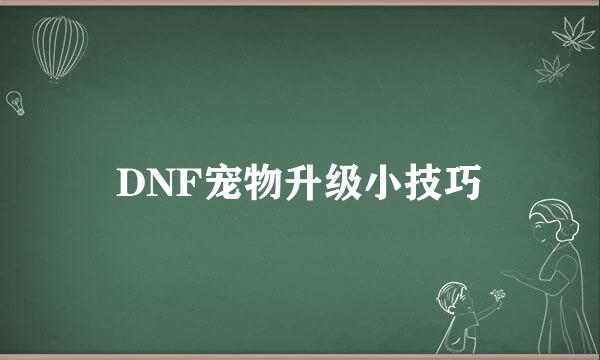 DNF宠物升级小技巧