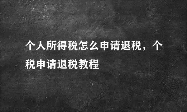 个人所得税怎么申请退税，个税申请退税教程