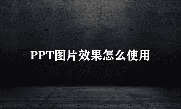 PPT图片效果怎么使用