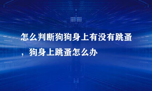 怎么判断狗狗身上有没有跳蚤，狗身上跳蚤怎么办