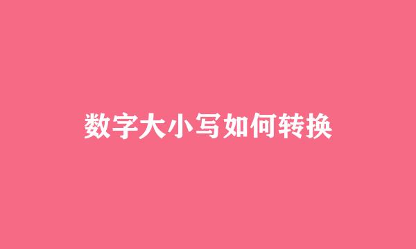 数字大小写如何转换