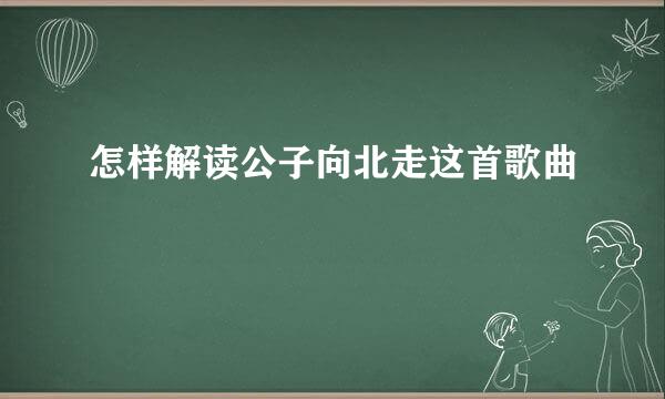 怎样解读公子向北走这首歌曲