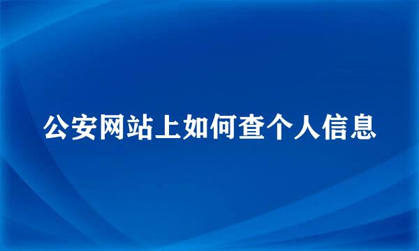 公安网站上如何查个人信息