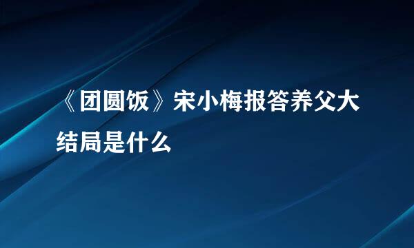 《团圆饭》宋小梅报答养父大结局是什么