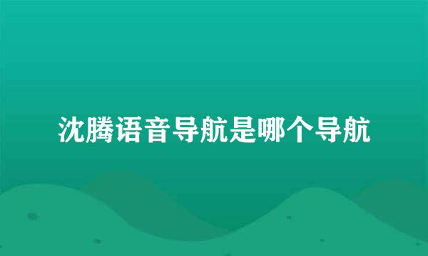 沈腾语音导航是哪个导航