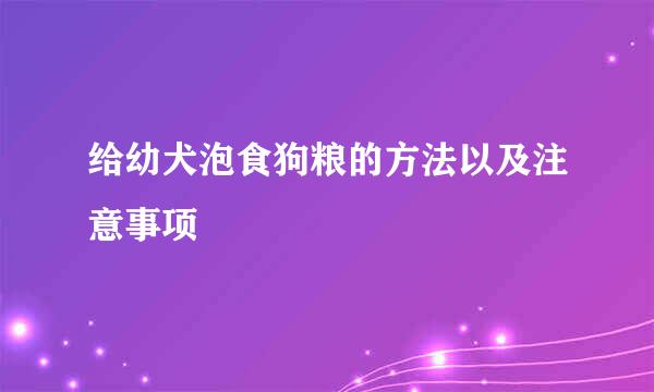 给幼犬泡食狗粮的方法以及注意事项