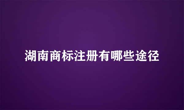 湖南商标注册有哪些途径