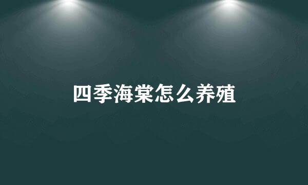 四季海棠怎么养殖