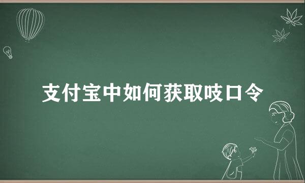 支付宝中如何获取吱口令