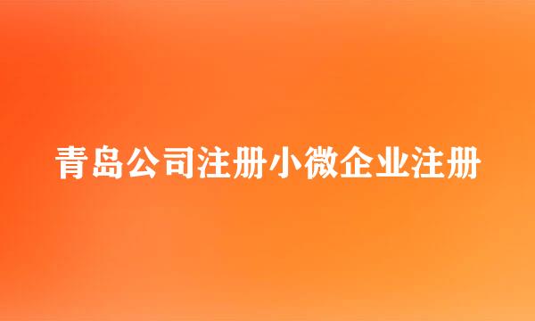 青岛公司注册小微企业注册