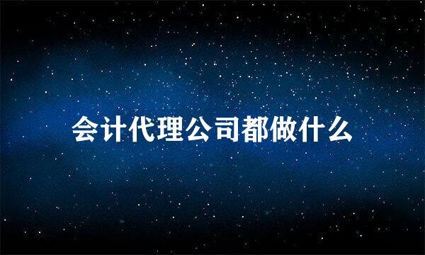 会计代理公司都做什么