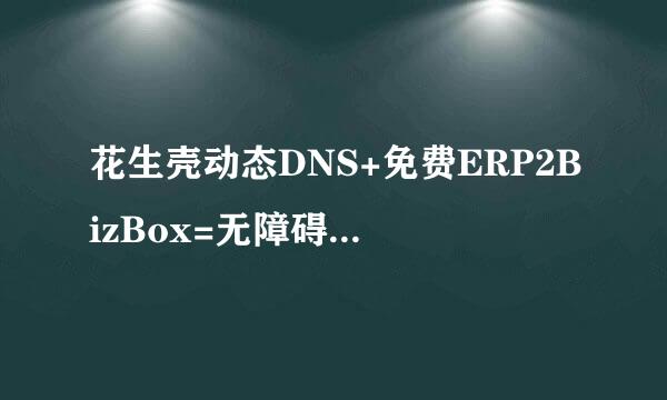 花生壳动态DNS+免费ERP2BizBox=无障碍ERP系统