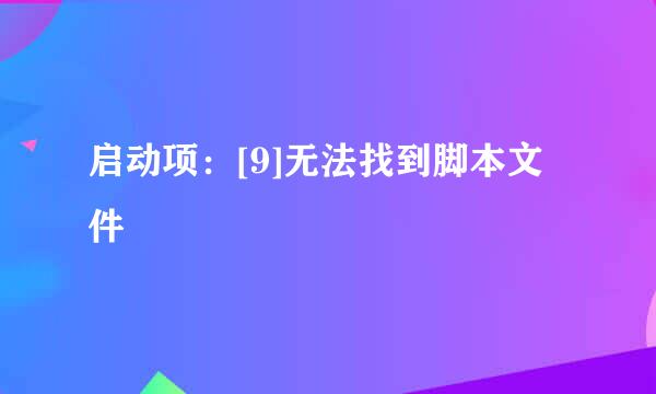 启动项：[9]无法找到脚本文件