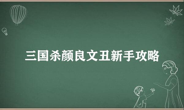 三国杀颜良文丑新手攻略