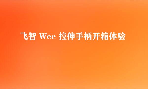 飞智 Wee 拉伸手柄开箱体验