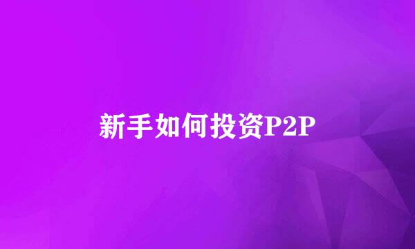 新手如何投资P2P