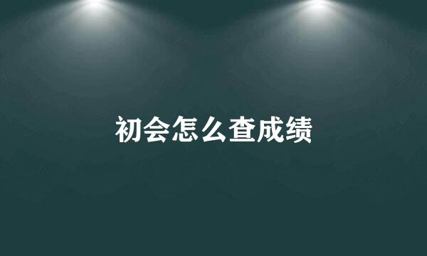 初会怎么查成绩