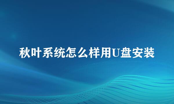 秋叶系统怎么样用U盘安装