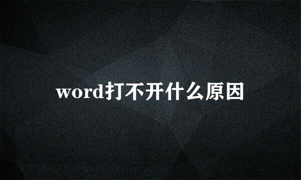 word打不开什么原因