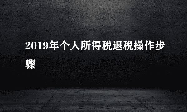 2019年个人所得税退税操作步骤