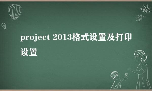 project 2013格式设置及打印设置