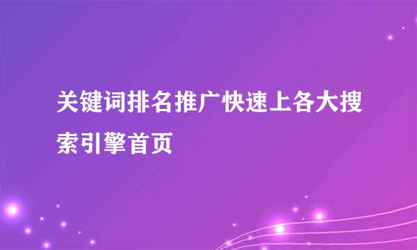 关键词排名推广快速上各大搜索引擎首页