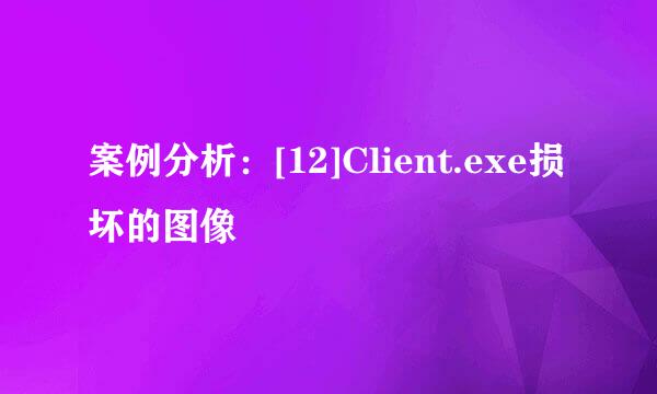 案例分析：[12]Client.exe损坏的图像