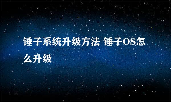 锤子系统升级方法 锤子OS怎么升级