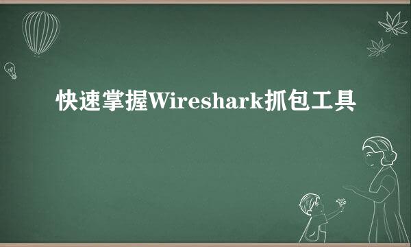 快速掌握Wireshark抓包工具