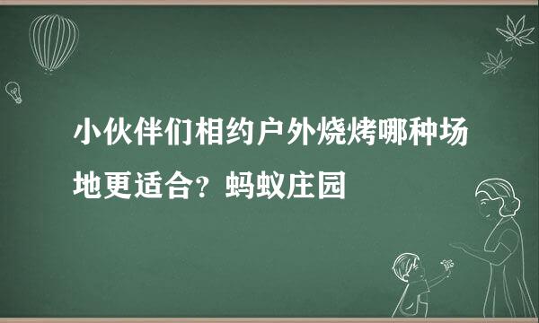 小伙伴们相约户外烧烤哪种场地更适合？蚂蚁庄园