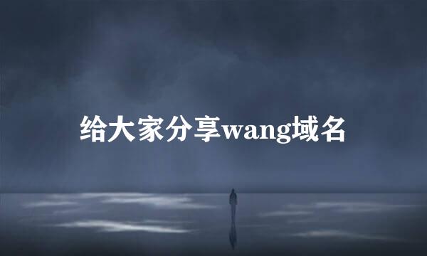 给大家分享wang域名