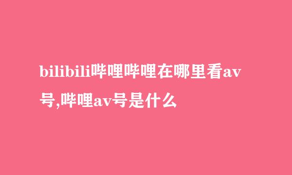 bilibili哔哩哔哩在哪里看av号,哔哩av号是什么