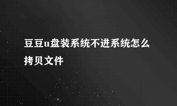 豆豆u盘装系统不进系统怎么拷贝文件