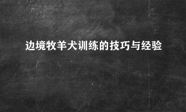 边境牧羊犬训练的技巧与经验