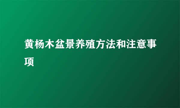 黄杨木盆景养殖方法和注意事项