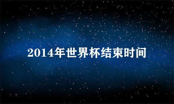 2014年世界杯结束时间