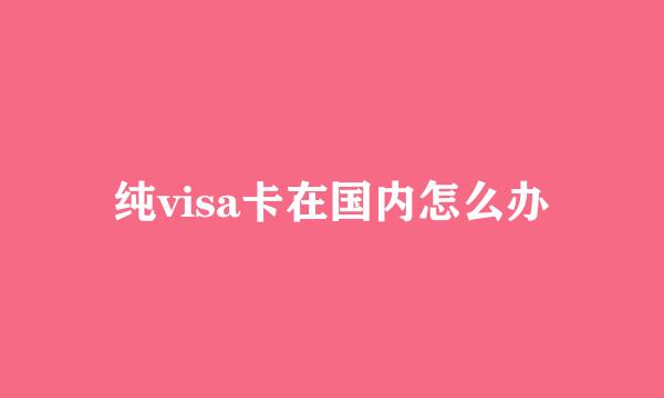 纯visa卡在国内怎么办