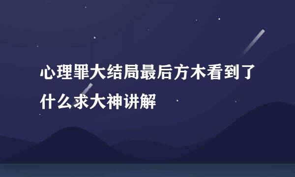 心理罪大结局最后方木看到了什么求大神讲解